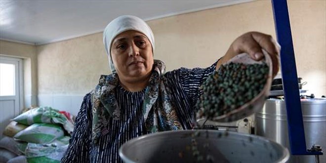 Evinin ahırını atölyeye çevirip çitlembik yağı üretmeye başladı
