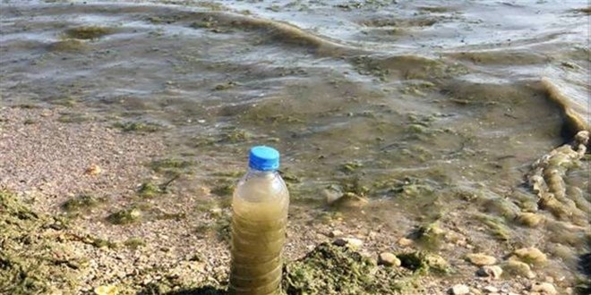 'Eğirdir Gölü'ne lağım suyu karıştı' iddiasına inceleme başlatıldı