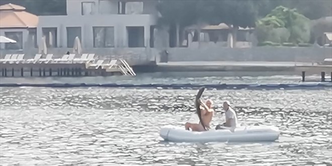 Kpek balnn deniz ana braklmas cep telefonu kamerasna yansd