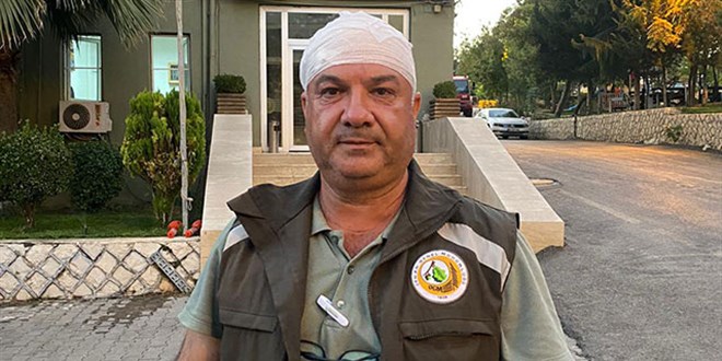 Mardin'de orman muhafaza görevlilerine saldırı
