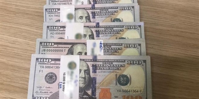 80 bin dolarlık dolandırıcılık: 'Geçersizdir' yazısını fark etmedi