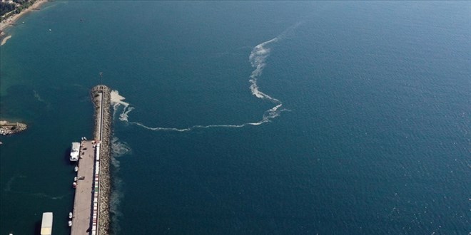 Marmara Denizi'nde yeni tehlike 'oksijen azl'
