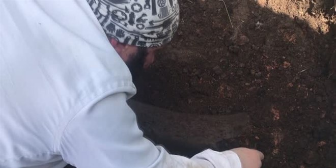 Ekim için sürülen tarlada fil fosili bulundu