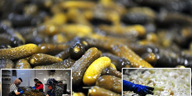 'Turşu göçü' ilçede nüfusu ikiye katlıyor