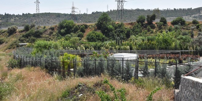 Danıştay, Uzundere'ye JES projesinin iptal kararını onadı