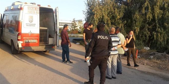 Köpek yavrularının telef olmasında bir kişinin görevine son verildi