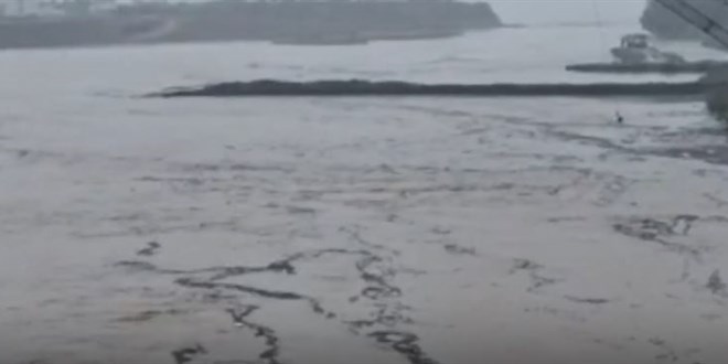 Ordu'da sa�anak: F�nd�klar �rma�a akt�