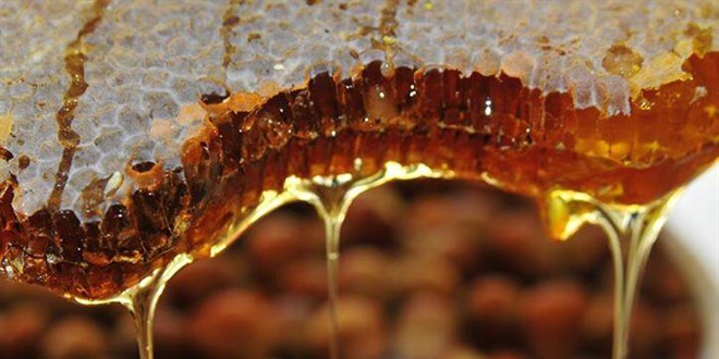 Bu bal�n kilosu 35 bin avro