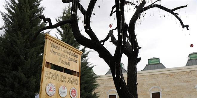 '�ehitler A�ac�'ndan �ehit askerlerin k�nyelerini �ald�lar