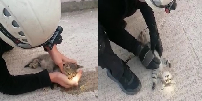 �tfaiyeden kalbi duran kediye hayati dokunu�