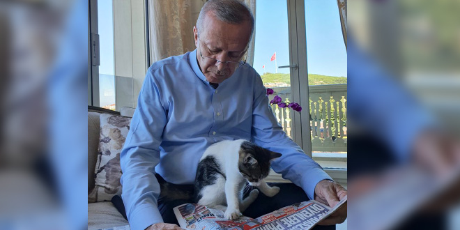 Erdoğan, torununun kedisiyle fotoğrafını paylaştı