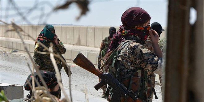 Terr rgt PKK Sincar'da 52 kiiyi kard