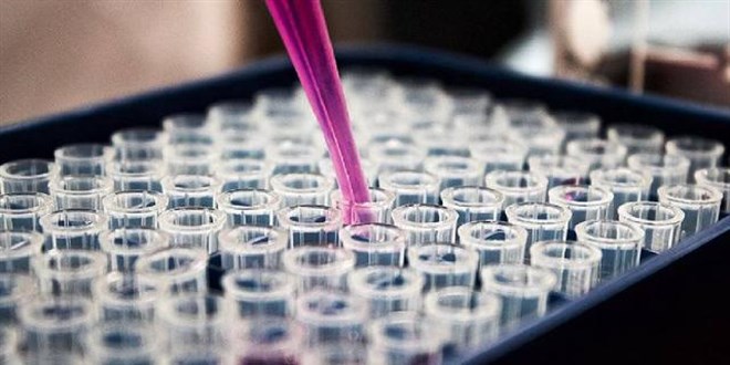 Koronavirüs ilacı salgını nasıl etkileyecek?