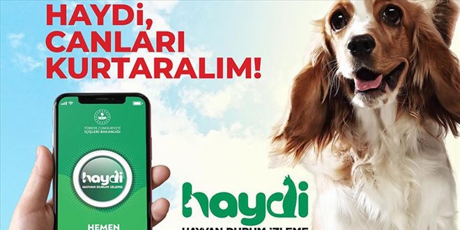 HAYDİ uygulamasını kullananların sayısı 156 bini geçti