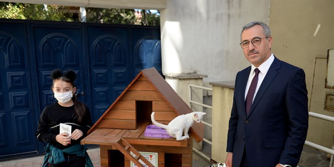 Belediye başkanı, kedi isteyen çocuğun hayalini gerçekleştirdi