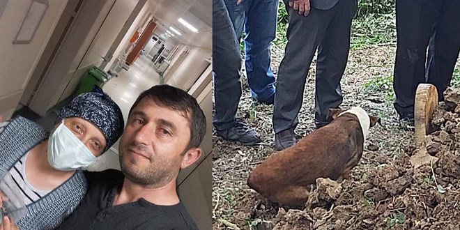 Asansör boşluğuna düşen kargocunun köpeği görenleri duygulandırdı