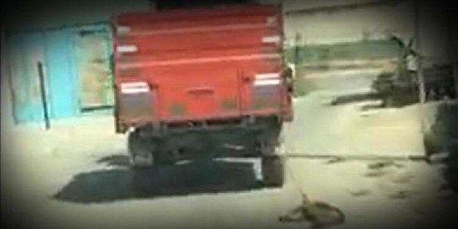 Traktörün römorkuna bağladığı köpeği metrelerce sürükledi
