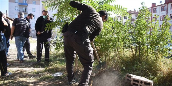 Belediyeden 'çukurda köpek ölüleri bulundu' paylaşımlarına açıklama