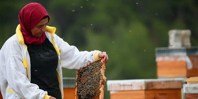 Memurluktan vazgeçip bu işe başladı! Paraya para demiyor
