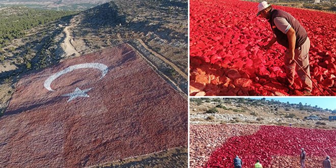 Zemine işlenmiş en büyük Türk bayrağı boyanıyor