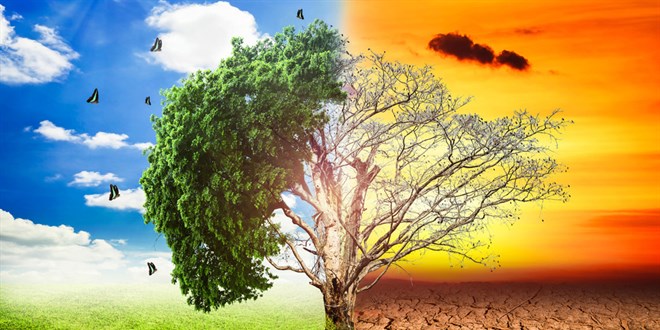 Küresel iklim değişikliği kuşların göç ve konaklama zamanlarını da değiştirdi