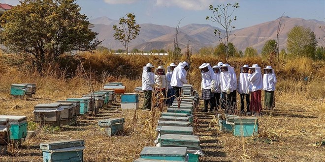 Van'ın arıcı kadınları 'Çiftçi Okulu'nda yetişiyor