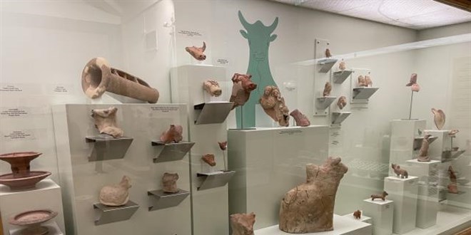 Müze uzmanlarına hizmet içi eğitim verildi