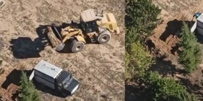 'Köpeklerin diri diri gömüldüğü' iddiasıyla ilgili soruşturma başlatıldı