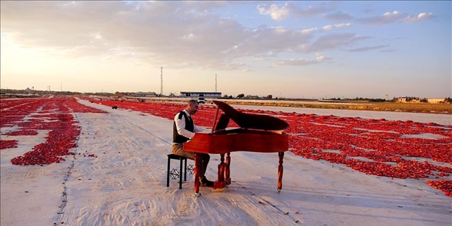 Müzik öğretmenleri domates tarlasında piyano çalıp klip çekti