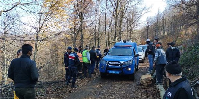 Bursa'da kesilen ağacın altında kalan işçi öldü