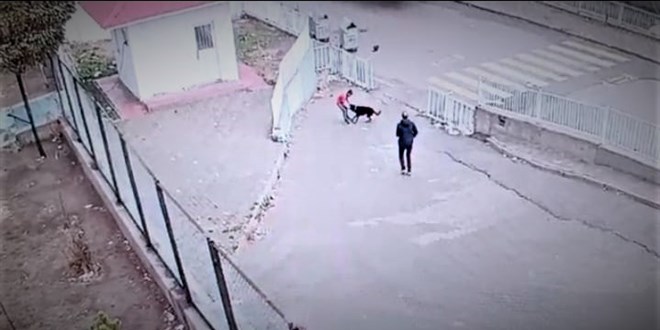 Köpeğin saldırısına uğrayan çocuğu okul güvenliği kurtardı