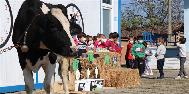 Öğretmen 'İ' harfini böyle öğretti