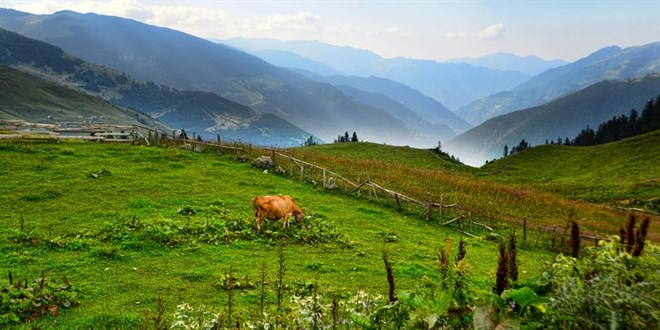 Valilik yaylalarda erzak bırakılmaması uyarısı yaptı