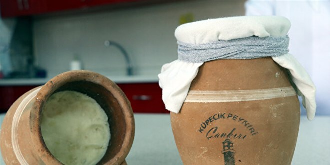 Me�hur peynirler tuz ma�aras�nda olgunla�maya b�rak�ld�