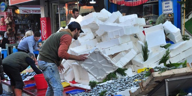 Hamsinin kilosu 5 TL'ye düştü, dakikalar içerisinde tonlarca satıldı