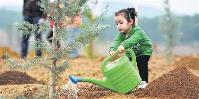 Rekor ağaca rekor davet