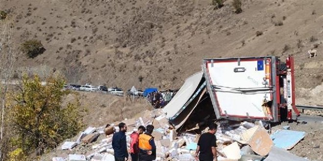 İran'da kaza yapan tavuk yüklü Türk TIR'ı yağmalandı