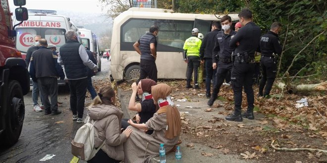 Yolda çıkan minibüs ağaca çarptı: 1 ölü, 7 yaralı