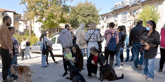 Hatay'da sokak hayvanlarının zehirlendiği iddiasına soruşturma